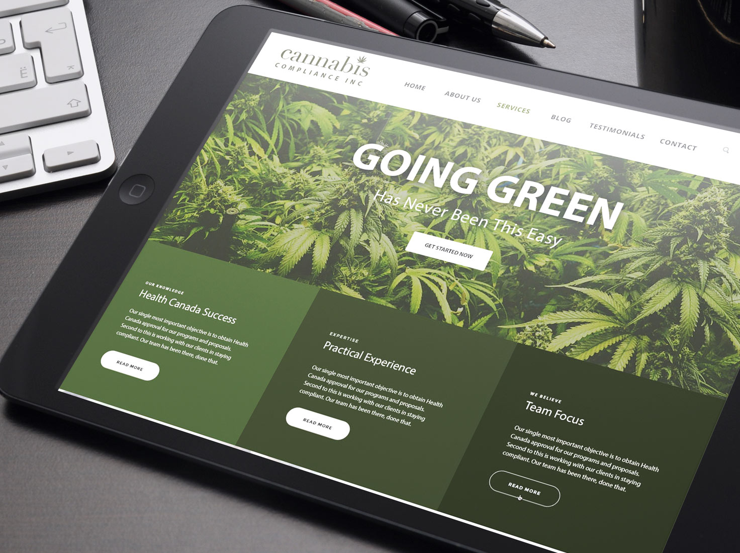 https://zestybrands.ca/wp-content/uploads/2022/10/Cannabis-website-design-Branding-Studio-Zesty-Brands-Cannabis-brand-logo-design.jpg