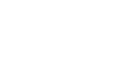 chiwis-logo-Vancouver-branding-package-designer-agency-zesty-branding-chiwis-kiwi-chips