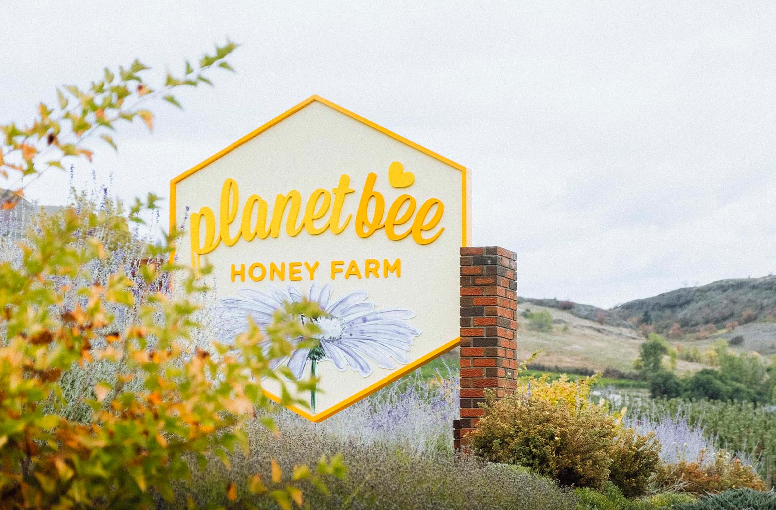 https://zestybrands.ca/wp-content/uploads/2022/10/vancouver-branding-package-design-honey-farm-branding-zesty-brands.jpg